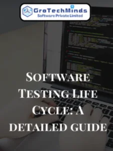 Software Testing - Life Cycle