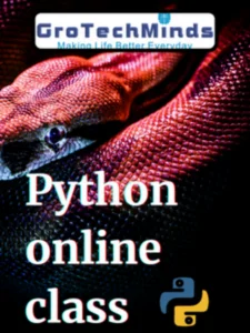 python online